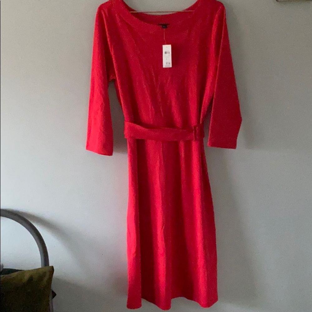NWT Ann Taylor Dress